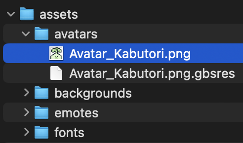 avatar_assets_folder
